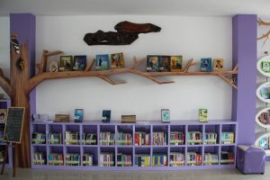 Picture15